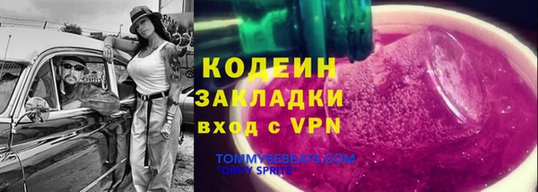прущие грибы Санкт-Петербург