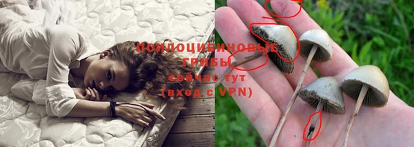 дживик Новосибирск