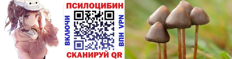 Галлюциногенные грибы GOLDEN TEACHER  цена наркотик  MEGA рабочий сайт  Усть-Лабинск 