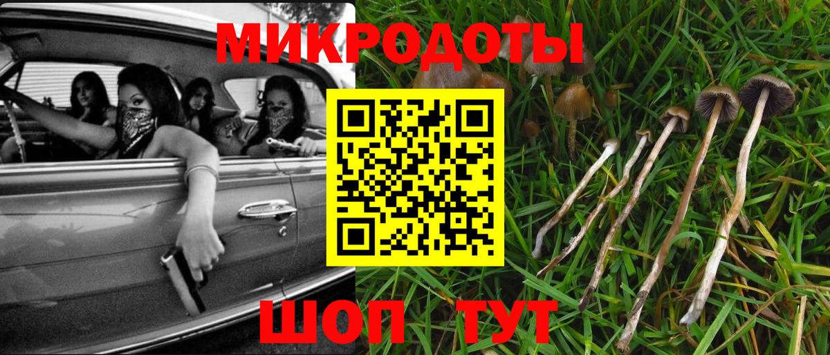 Галлюциногенные грибы мухоморы Усть-Лабинск