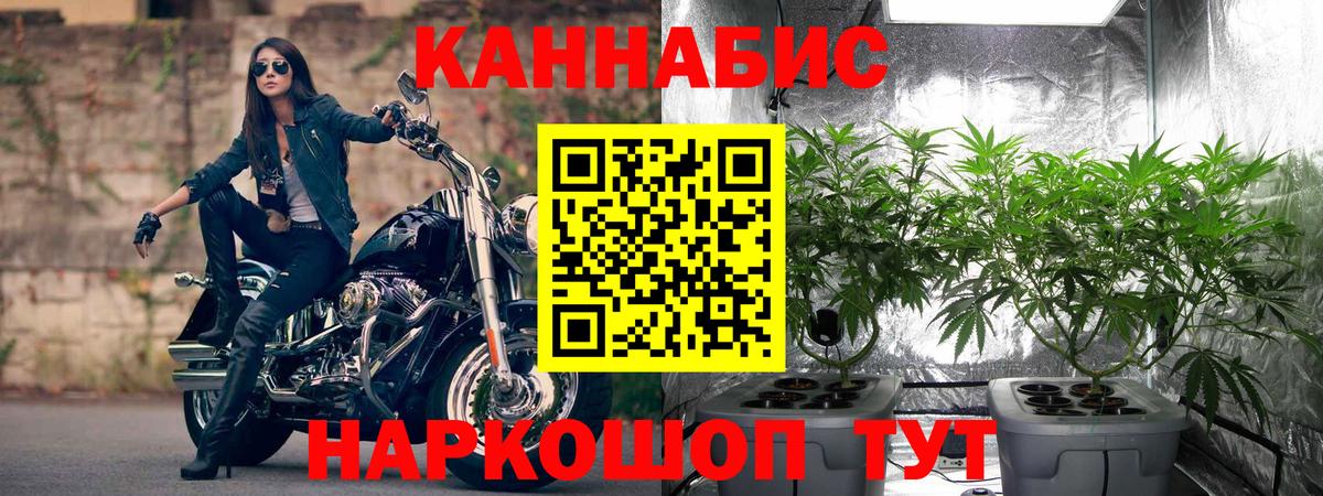 Канабис OG Kush Усть-Лабинск